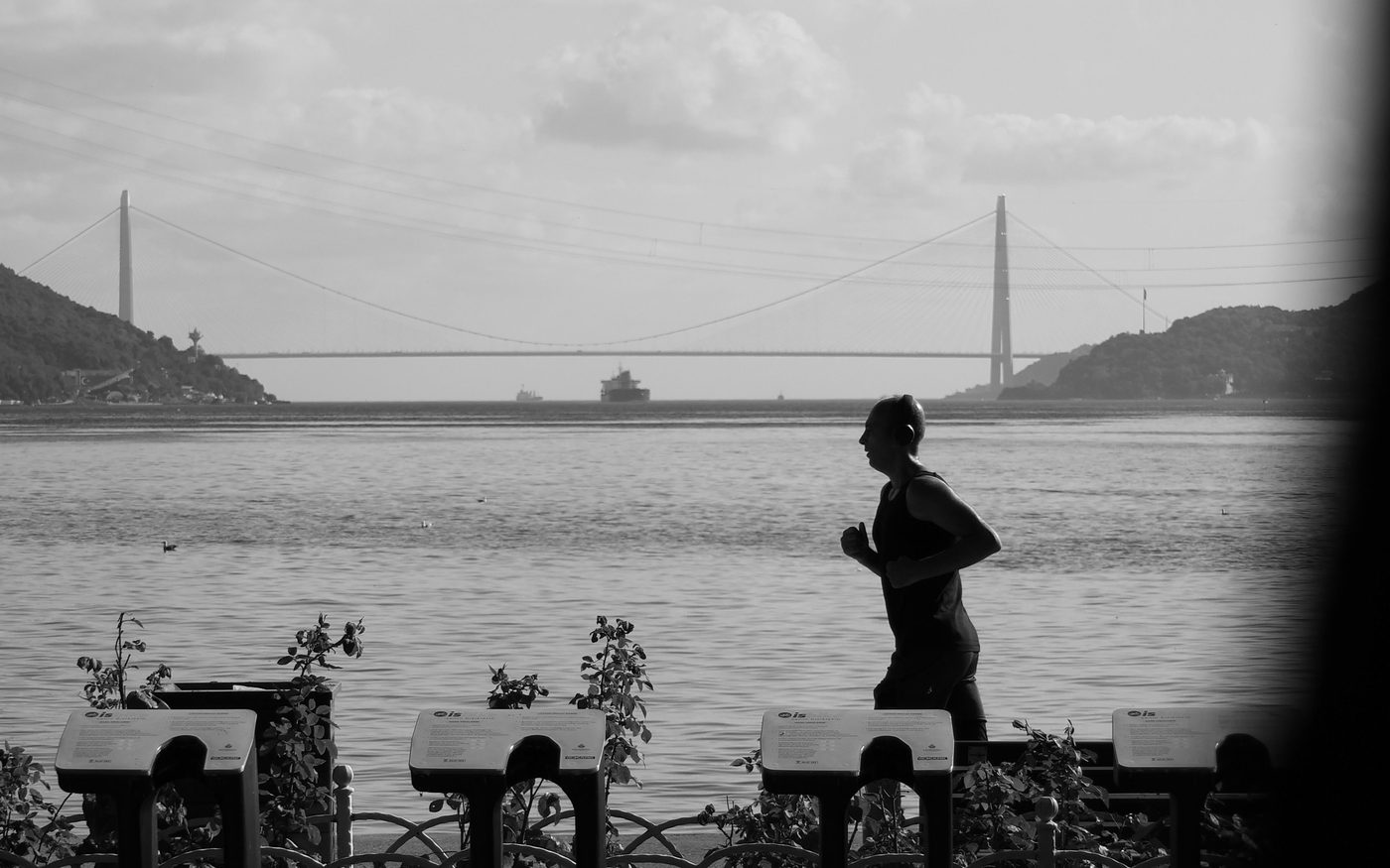 Cómo elegir tu plan de maratón